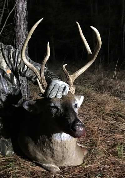 Deer With One Spiked Antler Mossy Oak