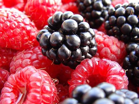 Berries Pinterest Contests Fruit Photography Red Decor Fruit Plants