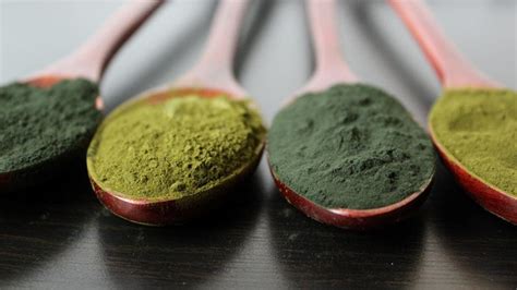 Best Greens Powders Of 2023 According To Experts Forbes Health