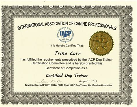 How Long Does It Take To Get A Dog Training Certificate