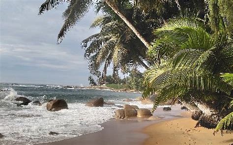 See a recent post on tumblr from @breathtakingdestinations about elfenbeinküste. Sassandra, Elfenbeinküste: Tourismus in Sassandra ...