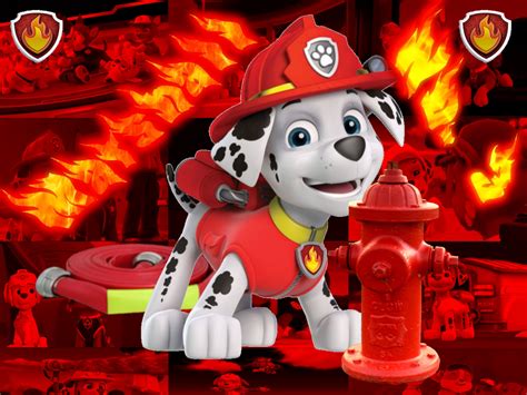 Paw Patrol Marshall By Double P1997 On Deviantart