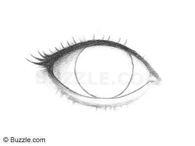 Thus, there is no single eye tutorial that can show you how to draw the infinite types of eyes in this world. Lower Eyelash and Eyeball | Fake eyelashes, How to draw ...