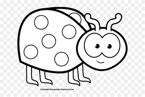 Ladybug Clipart Black And White Black And White Bug Clip Art Free Hd