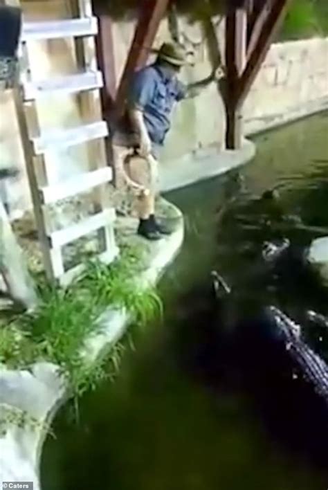 Man Falls Into A Pool Of Alligators After His Rope Swing Snaps But He