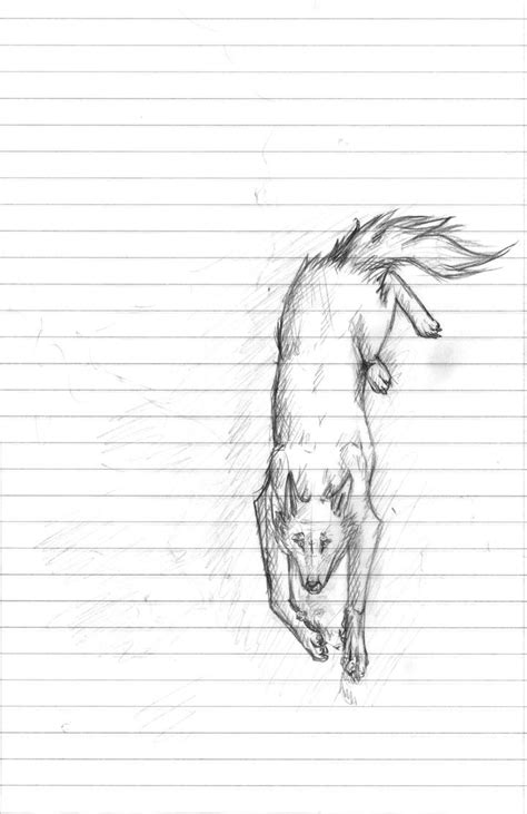 Wolf Lying Down Sketch By Spagglefag On Deviantart