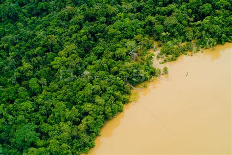 Overflightstock Aerial View Of Amazon Rainforest And Yavari River