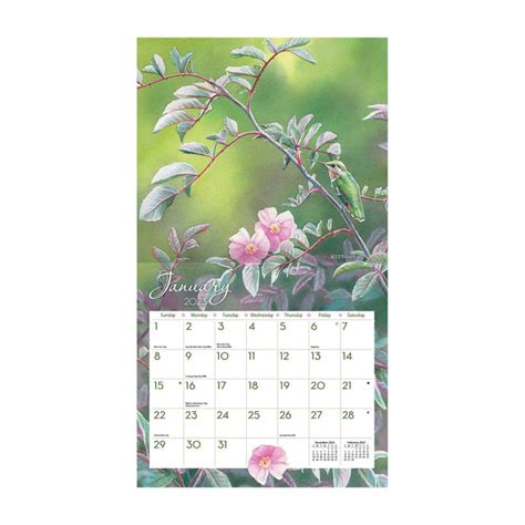 2023 Lang Hummingbirds By Susan Bourdet Deluxe Wall Calendar