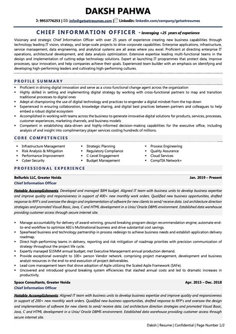 Cio Resume Examples And Template With Job Winning Tips