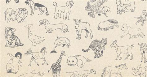 How To Draw Animals An Easy Drawing Guide For Starting