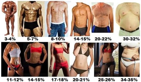 Body Fat Percentage Chart For Men And Women Ignore Limits