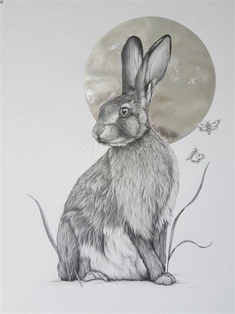 Salisbury Hare From The Fauna And Folklore Collection By Kerry Jane