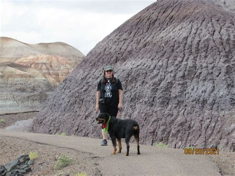 Painted Desert Blue Mesa Holbrook Arizona