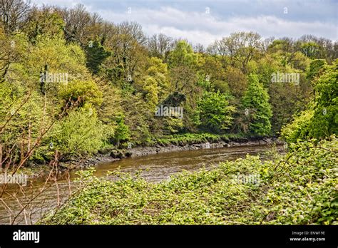 River Wear Stanhope Hi Res Stock Photography And Images Alamy