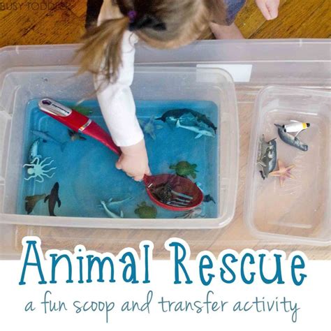 ANIMAL RESCUE: A fun scoop and transfer activity; easy indoor activity; water play activity ...