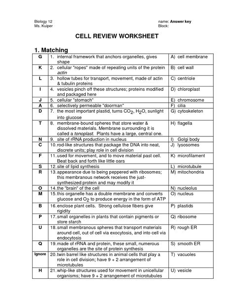 Pics Photos Cell Organelle Worksheet Cell Organelle Worksheet Answer Key