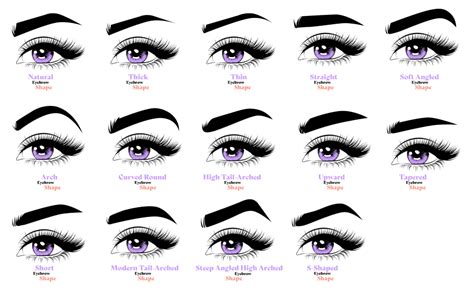 Types Of Eyebrow Shapes