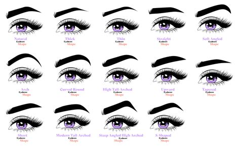 the fullest eyebrow shapes guide you need lilac st