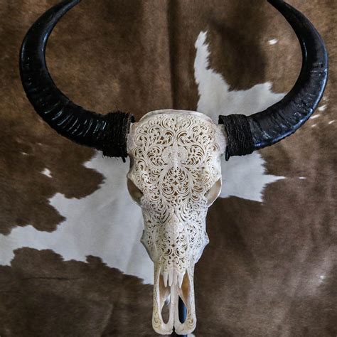 Buffalo Skull Authentic Native Carving Novum Crafts Indian