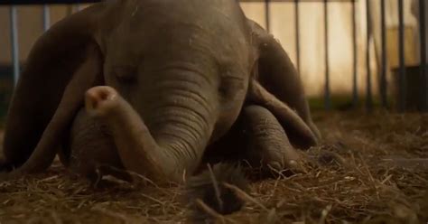 Dumbo Live Action Remake Uk Release Date Trailer Cast And Latest News Mirror Online