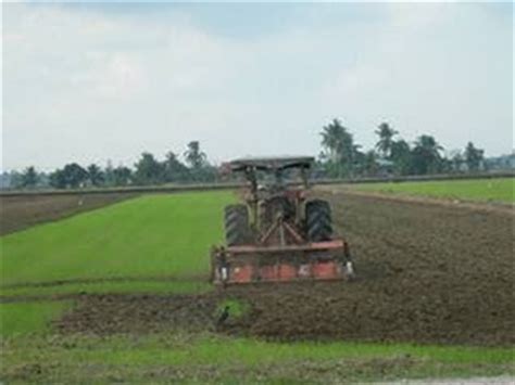 Meningkatkan kecekapan pengurusan penyelidikan padi di. Laman Agro @ Sains Pertanian: Taburan Tanaman Utama di ...