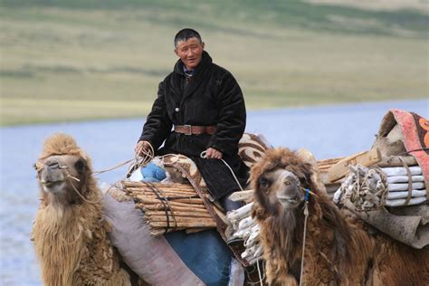 Why Is Everyone Talking About Mongolia and What Do You Do ...