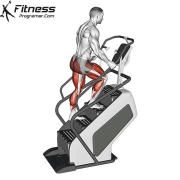 How To Use Stair Climber Machine Benefits And Muscles Worked