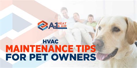 Hvac Maintenance Tips For Pet Owners Hvac In Orlando Fl