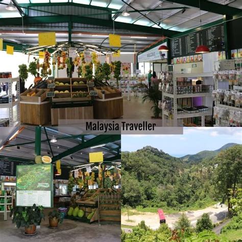 Tropical fruit farm consist more than 370 species of edible fruits. Penang Tropical Fruit Farm