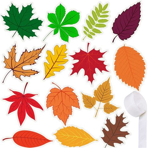 Buy Supla 70 Pcs Fall Leaf Cutouts Fall Cardboard Cutouts Autumn