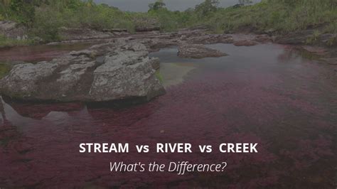 Stream Vs River Vs Creek Whats The Difference Casual Geographical