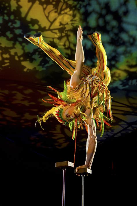 The supreme art of Cirque. Mystère by Cirque du Soleil | Cirque du soleil, Circus art, Cirque