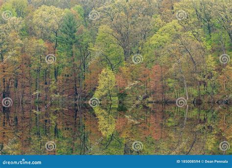 Spring Reflections Hall Lake Stock Photo Image Of Landscape Peaceful