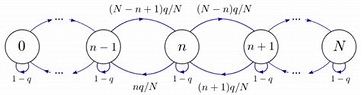 12.3: The Ehrenfest Model - Physics LibreTexts