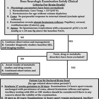 Listen to the best death protocol shows. (PDF) Clinical Report-Guidelines for the Determination of ...