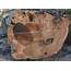Very Large Walnut Log 52x15 1900BF  Salvaging And Reclaiming Urban Woods