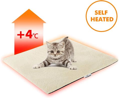 The 10 Best Self Heating Cat Bed Outdoor Home Gadgets