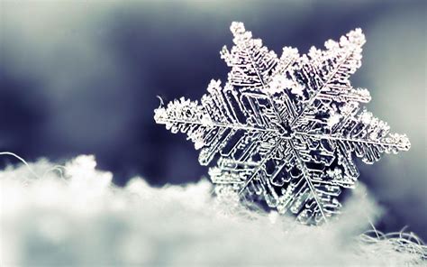 Wallpaper Download 5120x3200 Frozen Snowflake Beautiful Winter Season