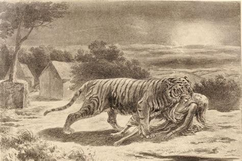 Historys Deadliest Single Animal Story Of The Killer Indian Tiger And