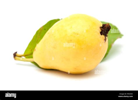 Yellow Guava Fruit Hi Res Stock Photography And Images Alamy