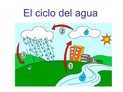 El Ciclo Del Agua La Importancia Del Agua Vrogue Co