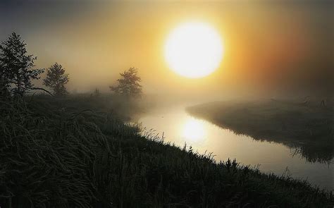 Sun In The Fog Artistic Photography Fog Celestial Explore Sunset