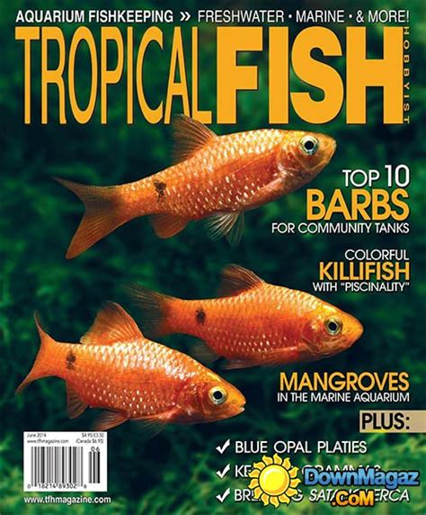 Tropical Fish Hobbyist - June 2014 » Download PDF magazines - Magazines ...