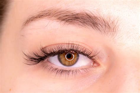 top 18 what is a cat eye for lash extensions 2022