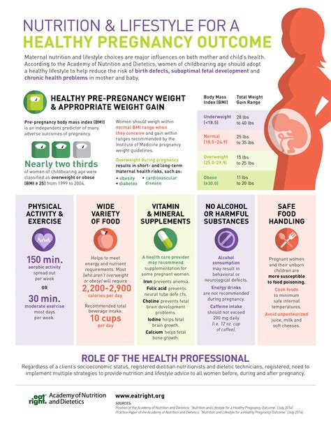 Nutrition And Lifestyle For A Healthy Pregnancy Outcome Visually