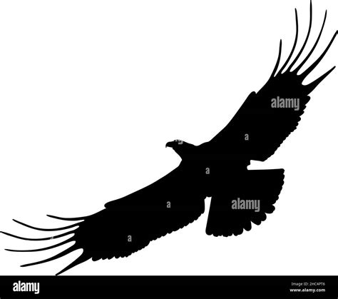 Black Eagle Silhouette Style Icon Stock Vector Image And Art Alamy