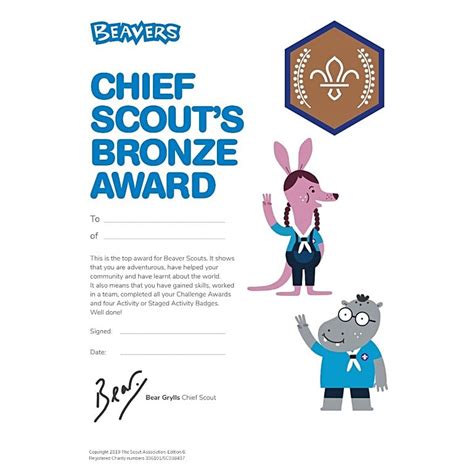 Chief Scouts Bronze Award Certificate Pack Of 10 Leaders