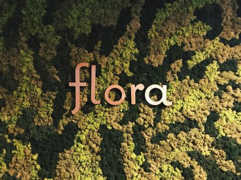 They do have tomra uno rvm's here! Flora Restaurant Offers Plant Based Dining in West Hartford