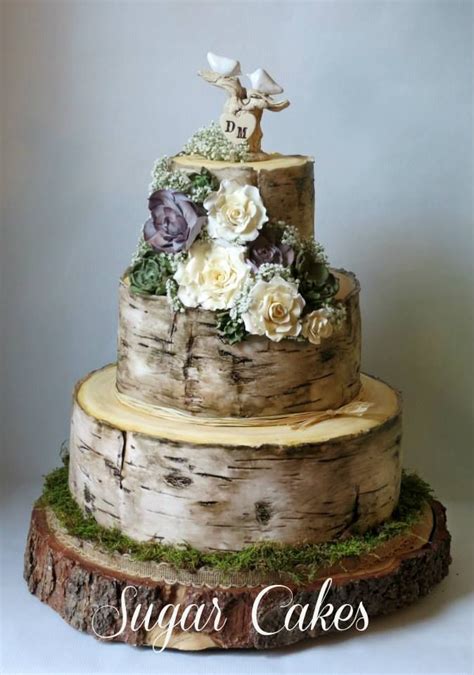 Birch Tree Wedding Cake With Handmade Succulents And Roses