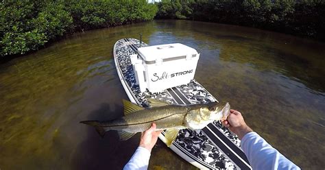 Want To Learn Some Of The Best Fishing Tips To Catching Snook And